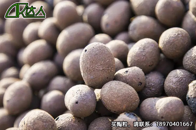 建筑陶粒、回填陶粒